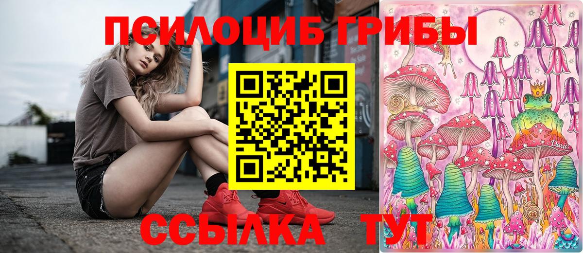 Псилоцибиновые грибы GOLDEN TEACHER Обь