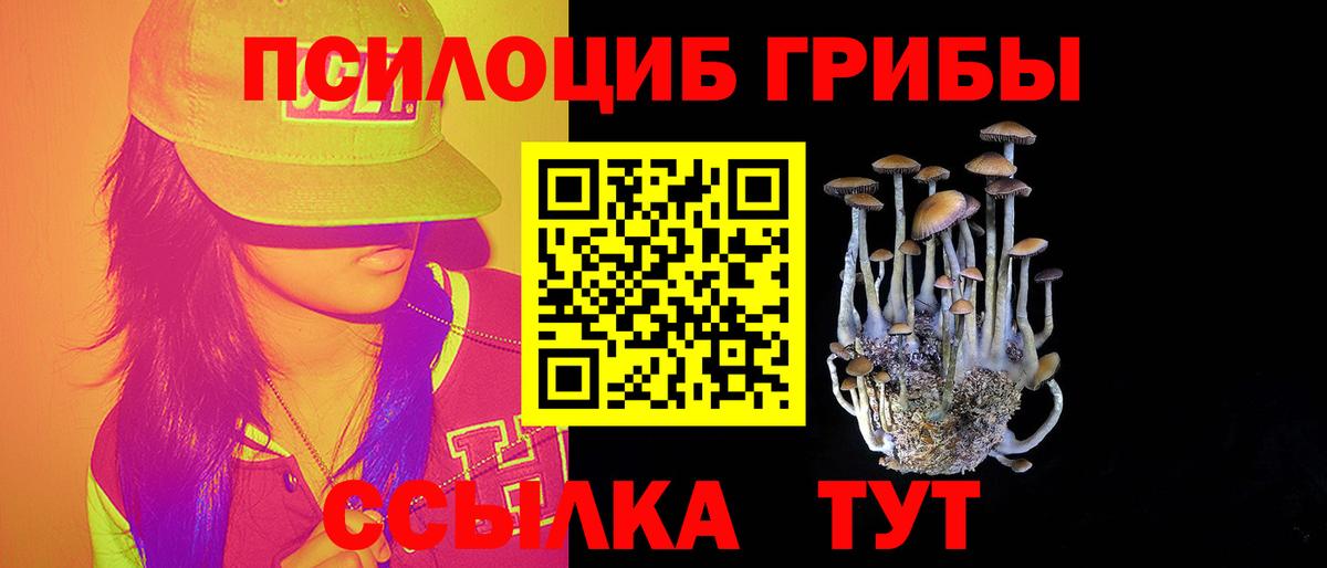 Псилоцибиновые грибы Cubensis  Вход с VPN  Обь  Псилоцибиновые грибы прущие грибы 